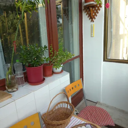 Apartament 3 Camere, Ideal Pt Familii Cu Copii, Langa Cazino, Acvariu, Port, Plaja, Piata Ovidiu * Constanta